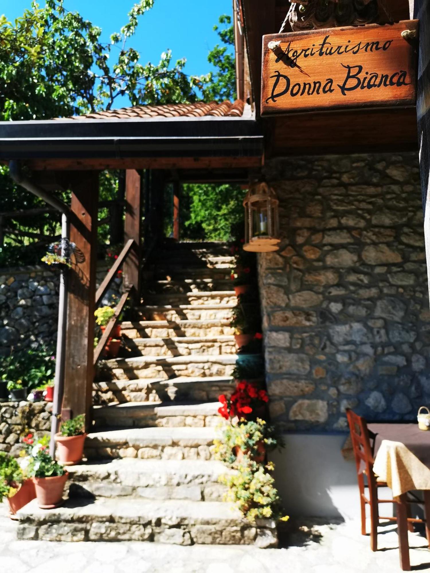 Farm stay Agriturismo Donna Bianca
